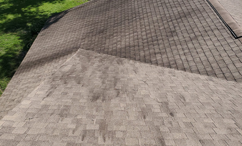 before soft wash roof cleaning spring hill fl